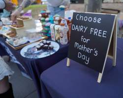 Mother's Day: Dominion Outreach Melbourne: 11 May 2025 - Animal rights activists participating in a street outreach event in Southbank, Victoria, Australia. Volunteers give out free vegan treats, show footage from Farm Transparency Project’s dairy investigations, and engage the public in conversations, bringing awareness to the hidden reality of what happens to cows, calves, and bulls in the Australian dairy industry. - Captured at VIC.