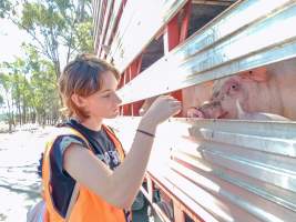 Animal rights advocates bearing witness to pigs being unloaded off truck outside Benalla Slaughterhouse - Captured at Benalla Abattoir, Benalla VIC Australia.