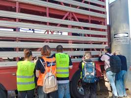 Animal rights advocates bearing witness to pigs being unloaded off truck outside Benalla Slaughterhouse - Captured at Benalla Abattoir, Benalla VIC Australia.