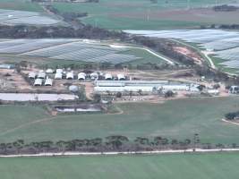 Drone flyover of piggery - Captured at Finniss Park Piggery, Mannum SA Australia.