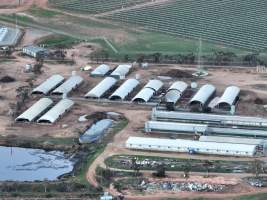 Drone flyover of piggery - Captured at Finniss Park Piggery, Mannum SA Australia.