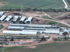 Drone flyover of piggery - Captured at Finniss Park Piggery, Mannum SA Australia.