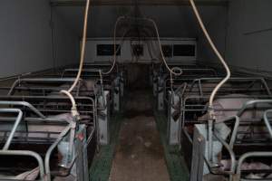 Looking down aisle of farrowing room - Captured at Brownlow Piggery - Breeder Site, Brownlow SA Australia.