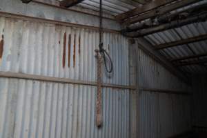 Noose hanging from ceiling of group sow housing shed - Captured at Brownlow Piggery - Breeder Site, Brownlow SA Australia.