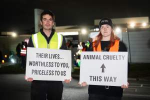 Cedar Meats Vigil - National Week Of Action 2025 - During the Shut Down Slaughterhouses Week of Action, we held a vigil outside of the Cedar Meats slaughterhouse in Brooklyn, Victoria.

During a two week investigation last year, our hidden cameras captured the handling and slaughter of animals, including newborn lambs and kids born in the holding pens of the slaughterhouse.

It was a Wednesday night when we gathered outside the slaughterhouse, holding signs and listening to music and speeches from investigators. We wanted to send a message to Cedar Meats, to let them know that we have not forgotten how they treat animals when they believe that no one is watching

We poured fake blood across their driveway as a visual reminder to everyone passing by, that animals arriving here are coming to their deaths. At the gates to the slaughterhouse, we each left a flower.

The images of animals whose deaths we have seen will haunt us forever, but we are determined to continue to fight in their name. - Captured at Cedar Meats, Brooklyn VIC Australia.