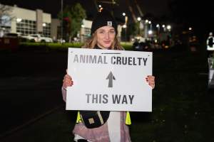 Cedar Meats Vigil - National Week Of Action 2025 - During the Shut Down Slaughterhouses Week of Action, we held a vigil outside of the Cedar Meats slaughterhouse in Brooklyn, Victoria.

During a two week investigation last year, our hidden cameras captured the handling and slaughter of animals, including newborn lambs and kids born in the holding pens of the slaughterhouse.

It was a Wednesday night when we gathered outside the slaughterhouse, holding signs and listening to music and speeches from investigators. We wanted to send a message to Cedar Meats, to let them know that we have not forgotten how they treat animals when they believe that no one is watching

We poured fake blood across their driveway as a visual reminder to everyone passing by, that animals arriving here are coming to their deaths. At the gates to the slaughterhouse, we each left a flower.

The images of animals whose deaths we have seen will haunt us forever, but we are determined to continue to fight in their name. - Captured at Cedar Meats, Brooklyn VIC Australia.