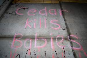 Cedar Meats Vigil - National Week Of Action 2025 - During the Shut Down Slaughterhouses Week of Action, we held a vigil outside of the Cedar Meats slaughterhouse in Brooklyn, Victoria.

During a two week investigation last year, our hidden cameras captured the handling and slaughter of animals, including newborn lambs and kids born in the holding pens of the slaughterhouse.

It was a Wednesday night when we gathered outside the slaughterhouse, holding signs and listening to music and speeches from investigators. We wanted to send a message to Cedar Meats, to let them know that we have not forgotten how they treat animals when they believe that no one is watching

We poured fake blood across their driveway as a visual reminder to everyone passing by, that animals arriving here are coming to their deaths. At the gates to the slaughterhouse, we each left a flower.

The images of animals whose deaths we have seen will haunt us forever, but we are determined to continue to fight in their name. - Captured at Cedar Meats, Brooklyn VIC Australia.