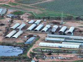 Drone - 2025 - Photos from a drone flyover of Finniss Park Piggery. - Captured at Finniss Park Piggery, Mannum SA Australia.