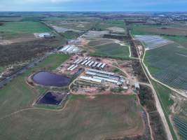 Drone - 2025 - Photos from a drone flyover of Finniss Park Piggery. - Captured at Finniss Park Piggery, Mannum SA Australia.