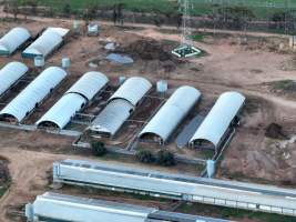 Drone - 2025 - Photos from a drone flyover of Finniss Park Piggery. - Captured at Finniss Park Piggery, Mannum SA Australia.