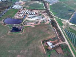 Drone - 2025 - Photos from a drone flyover of Finniss Park Piggery. - Captured at Finniss Park Piggery, Mannum SA Australia.