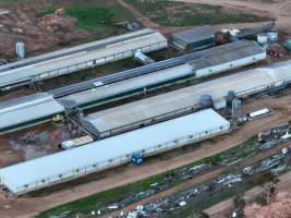 Drone - 2025 - Photos from a drone flyover of Finniss Park Piggery. - Captured at Finniss Park Piggery, Mannum SA Australia.