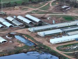 Drone - 2025 - Photos from a drone flyover of Finniss Park Piggery. - Captured at Finniss Park Piggery, Mannum SA Australia.