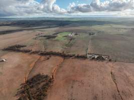 Drone flyover of piggery - Captured at Brownlow Piggery - Breeder Site, Brownlow SA Australia.
