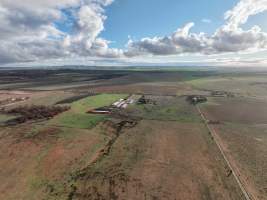 Drone flyover of piggery - Captured at Brownlow Piggery - Breeder Site, Brownlow SA Australia.