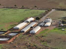 Drone flyover of piggery - Captured at Brownlow Piggery - Breeder Site, Brownlow SA Australia.