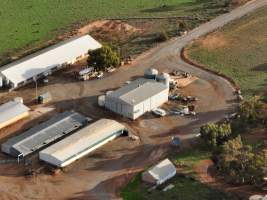 Drone flyover of piggery - Captured at Brownlow Piggery - Breeder Site, Brownlow SA Australia.