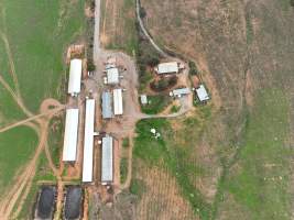 Drone flyover of piggery - Captured at Brownlow Piggery - Breeder Site, Brownlow SA Australia.