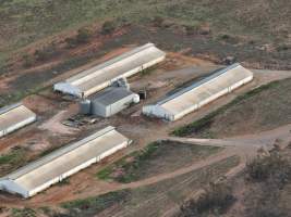Drone flyover of piggery - Captured at Brownlow Piggery - Grower Site, Brownlow SA Australia.