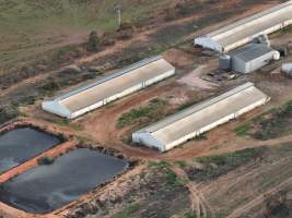 Drone flyover of piggery - Captured at Brownlow Piggery - Grower Site, Brownlow SA Australia.