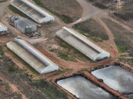 Drone flyover of piggery - Captured at Brownlow Piggery - Grower Site, Brownlow SA Australia.