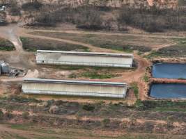 Drone flyover of piggery - Captured at Brownlow Piggery - Grower Site, Brownlow SA Australia.