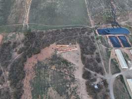 Drone flyover of piggery - Captured at Brownlow Piggery - Grower Site, Brownlow SA Australia.