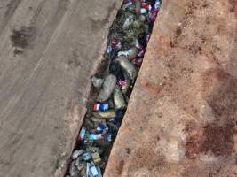 Trench of dead pigs, as seen from drone - Captured at Brownlow Piggery - Grower Site, Brownlow SA Australia.
