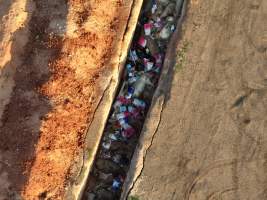 Trench of dead pigs, as seen from drone - Captured at Brownlow Piggery - Grower Site, Brownlow SA Australia.