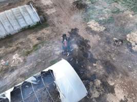 Pigs burned alive in shed fires - Drone imagery of a large number of dead pigs in eco sheds, after the sheds caught alight on 15 September 2025. - Captured at Andgar Piggery, Dublin SA Australia.
