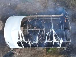 Pigs burned alive in shed fires - Drone imagery of a large number of dead pigs in eco sheds, after the sheds caught alight on 15 September 2025. - Captured at Andgar Piggery, Dublin SA Australia.