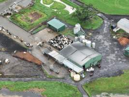 NSW Dairy Farms 2025 - Drone footage of Dairy farms and calf crates on NSW's South Coast. - Captured at Coolea, Numbaa NSW Australia.