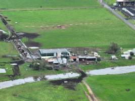 NSW Dairy Farms - 2025 - A 2025 drone investigation into NSW dairy farms. - Captured at LR Anderson & Sons, Numbaa NSW Australia.