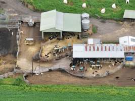 NSW Dairy farm and calf crates - 2025 - A drone investigation of dairy farms and calf crates on NSW's South Coast. - Captured at Unknown Dairy Crates, Terara NSW Australia.