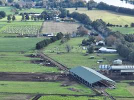 NSW Dairy Farms - 2025 - A drone investigation into dairy farms and calf crates on NSW's South Coast. - Captured at Eagle Park, Numbaa NSW Australia.