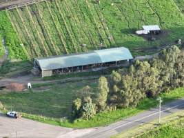 NSW Dairy Farms - 2025 - A drone investigation into dairy farms and calf crates on NSW's South Coast. - Captured at Eagle Park, Numbaa NSW Australia.