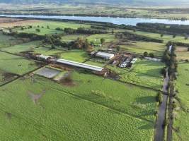 NSW Dairy farms - 2025 - A 2025 drone investigation into dairy farms and calf crates on NSW's South Coast. - Captured at Numbaa Leigh Holsteins, Numbaa NSW Australia.