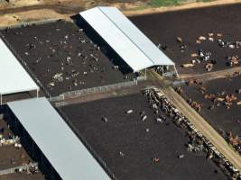 Drone - Dairy factory farm - Drone photos of Kenara Dairy, a dairy factory farm in Blighty, NSW. - Captured at Kenara Dairy - Riverina Fresh, Blighty NSW Australia.
