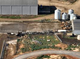 Drone - Dairy factory farm - Drone photos of Kenara Dairy, a dairy factory farm in Blighty, NSW. - Captured at Kenara Dairy - Riverina Fresh, Blighty NSW Australia.