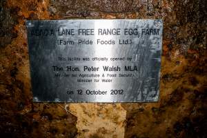 Sign at entrance of sheds - Farm Pride supplies free range and cage free eggs to major supermarkets under their own brand and is also a supplier for Coles brand free range eggs. Their Bears Lagoon farm supplies free range eggs from a system described by The Age as 'intensive free-range farming.'

In these sheds tens of thousands of birds struggle for space in filthy sheds. Hens showed evidence of reproductive illnesses and feather pecking, including missing feathers from their wings and necks. One chicken was filmed with a twisted, deformed leg, while others showed clear signs of being bullied by being pecked by other chickens.

On this farm investigators entered an empty shed where hens had been 'depopulated,' to be taken to slaughter. Two chickens had been left behind and were found huddled in the empty stacks, missing almost all of the feathers from their backs and necks. In another shed hens were found to be laying jelly-like, soft shelled eggs, an indication of nutrition deficiencies and stress. Hens would fight to eat these eggs, a valuable source of calcium in their otherwise deprived diets. 


 - Captured at Farm Pride Bears Lagoon - Site 2, Bears Lagoon VIC Australia.