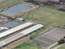 Drone flyover - Drone flyover of South Gippsland Eggs - Captured at South Gippsland Eggs, Devon Meadows VIC Australia.