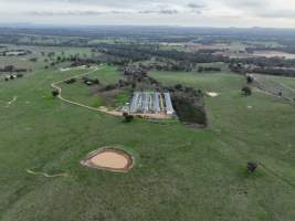 Drone flyover - Drone flyover of Valley Park's free-range egg farms in Seymour, Victoria. - Captured at Valley Park Seymour Farm 3 (Fyfe Family Eggs), Seymour VIC Australia.
