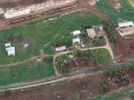 Tripe T Farms Drone flyover - Drone flyover of Triple T Farms dairy, supplier to La Casa Del Formaggio - Captured at Triple T Farms - La Casa Del Formaggio, Jervois SA Australia.