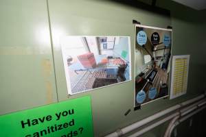 Captured at Josh's Rainbow Eggs, Monegeetta VIC Australia.