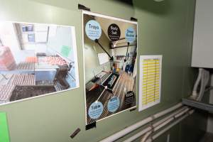 Captured at Josh's Rainbow Eggs, Monegeetta VIC Australia.