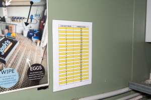 Captured at Josh's Rainbow Eggs, Monegeetta VIC Australia.