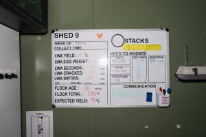 Captured at Josh's Rainbow Eggs, Monegeetta VIC Australia.