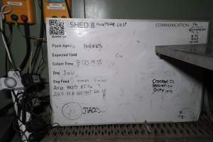 Captured at Josh's Rainbow Eggs, Monegeetta VIC Australia.