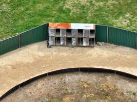 Captured at Greyhound Training - Banner Park?, Londonderry NSW Australia.