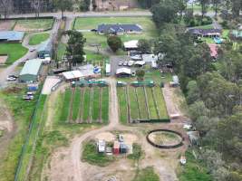 Captured at Greyhound Training - Banner Park?, Londonderry NSW Australia.